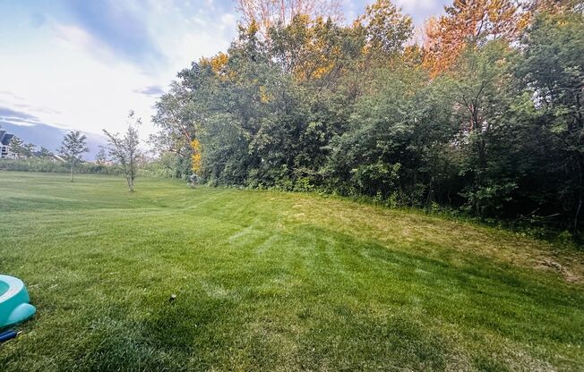 Sparkling New Spacious Hot Tub Home with Wayzata Schools is Pet-Friendly!