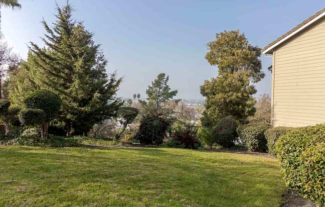 A backyard with a well-maintained lawn and a variety of trees.