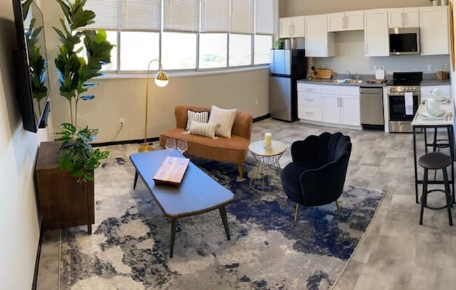 Studio, 1 bath, 655 sqft, $700, Unit 1705