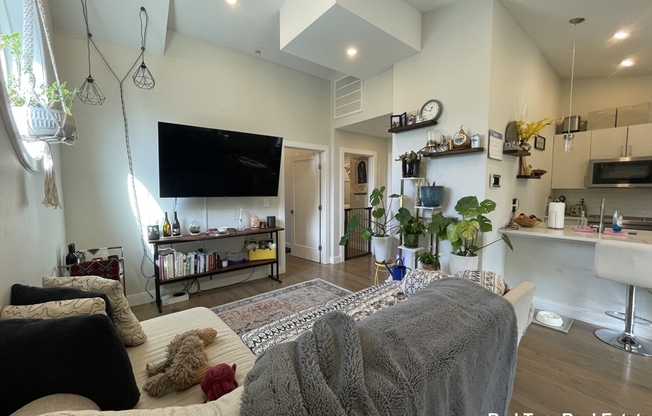 2 beds, 1 bath, 900 sqft, $3,450, Unit 4