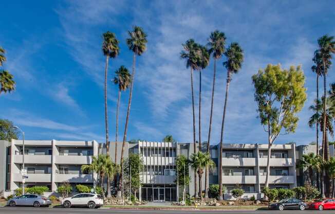 a group of tall palm trees in front of an apartment building at Candlewood North, Northridge, California