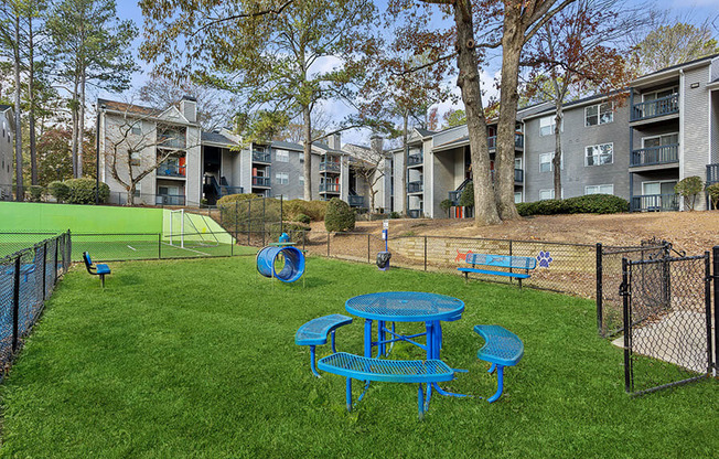 Community Dog Park with Agility Equipment at Element 41 Apartments located in Marietta, GA.