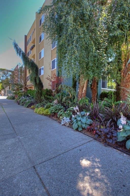 Vertigo Condominiums ~ Capitol Hill