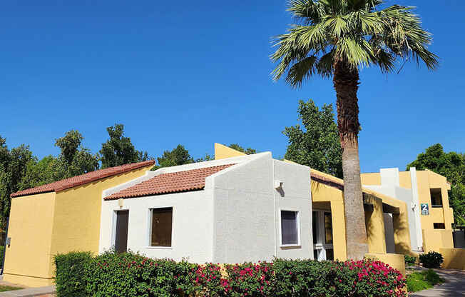 a house with a palm tree in front of it