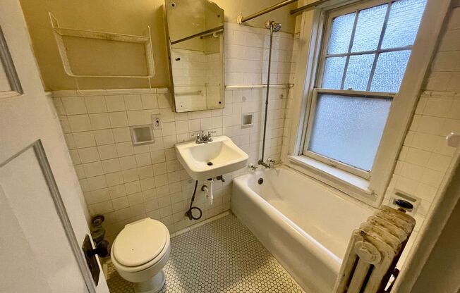 Studio, 1 bath, $850, Unit 204