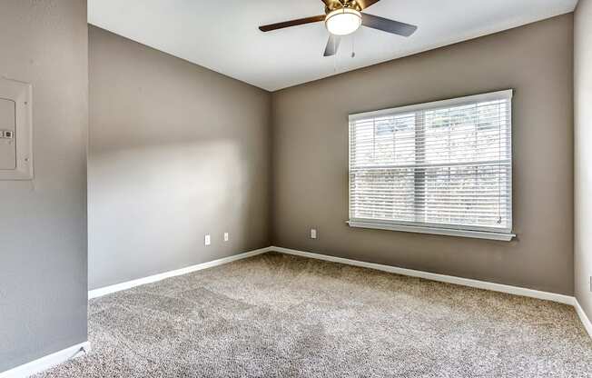 Upgraded bedroom with neutral paint, carpet, and ceiling fan