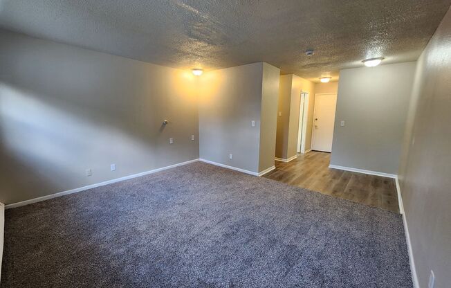 Studio, 1 bath, 550 sqft, $595, Unit Unit 15