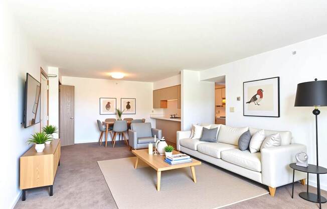 A living room with a white couch, wooden coffee table, and a rug.
