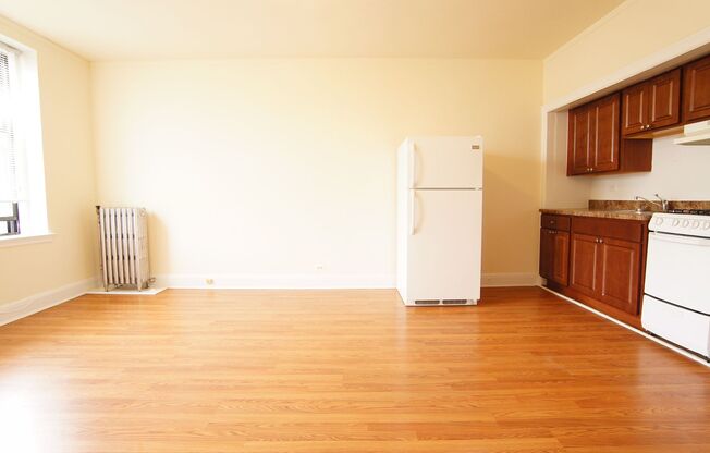 Studio, 1 bath, 395 sqft, $1,250, Unit 117
