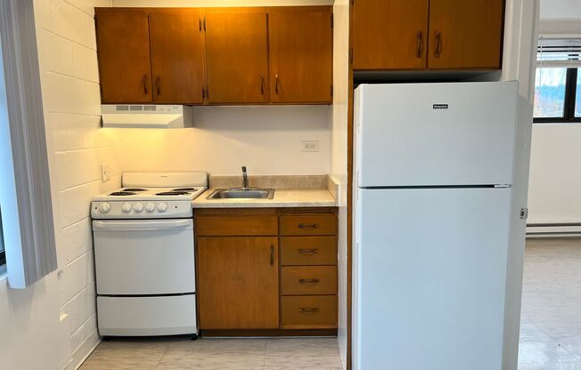 1 bed, 1 bath, 425 sqft, $1,225, Unit 501