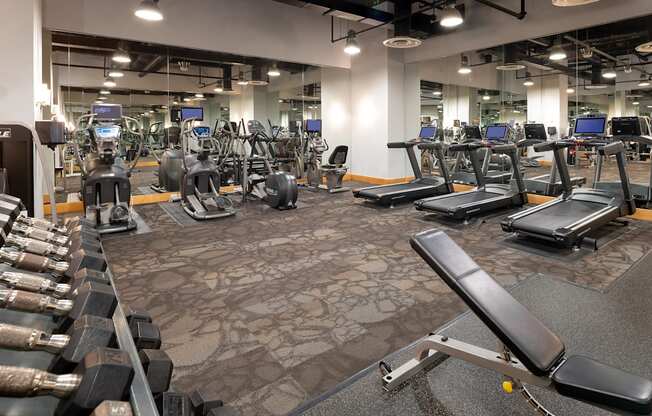 Photo of Fitness Center