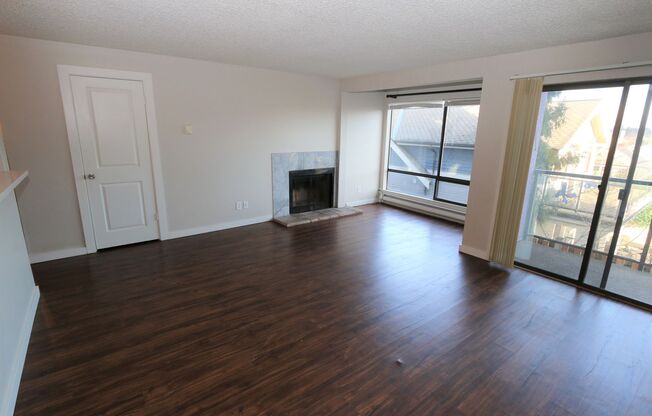 1 bed, 1 bath, 685 sqft, $1,900, Unit 304