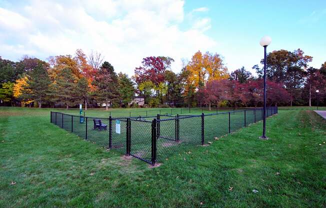 the view apartment and townhomes dog park
