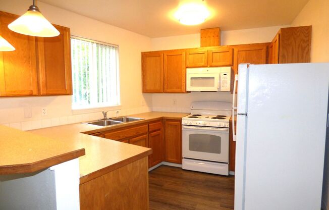 Holden01 - 1150 12th St NE