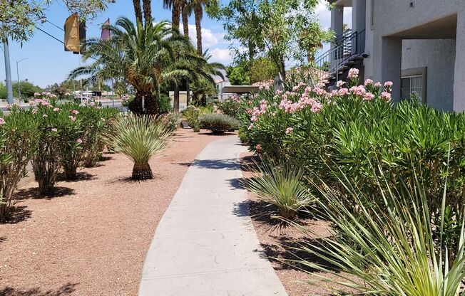 2 beds, 2 baths, $1,250