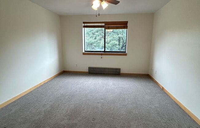 1 bed, 1 bath, 800 sqft, $1,395, Unit 301