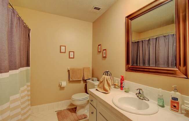 Image of bathroom with large vanity and mirror