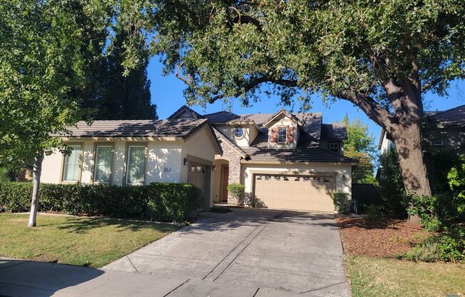 Gorgeous 4 bedroom 2.5 bath with large bonus room.