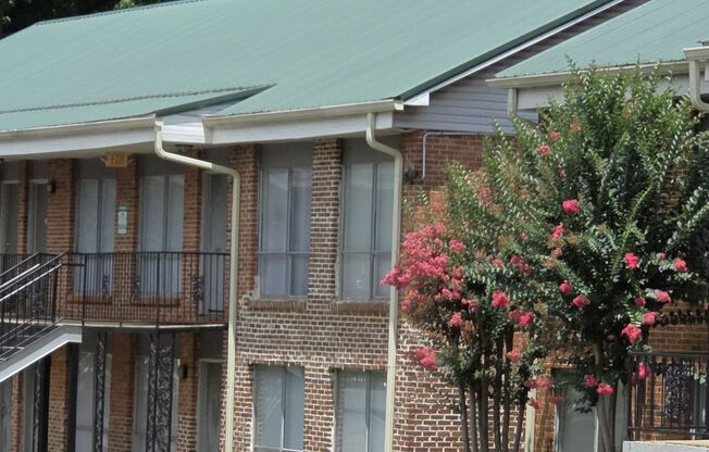 Green Springs Village Apartments