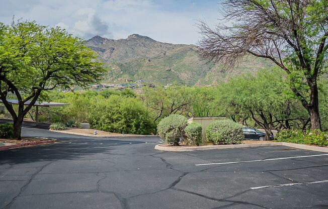 Furnished 2 Bedroom in The Greens at Ventana Canyon