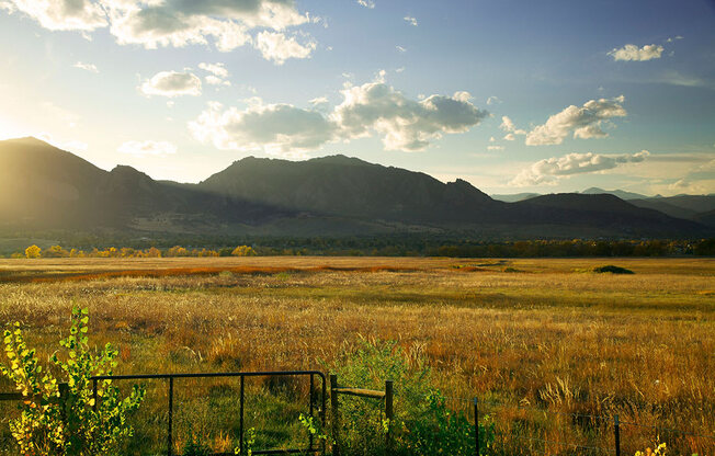 a field with a mountain in the background at Brownstones at Palisade Park Townhomes, Broomfield, 80023