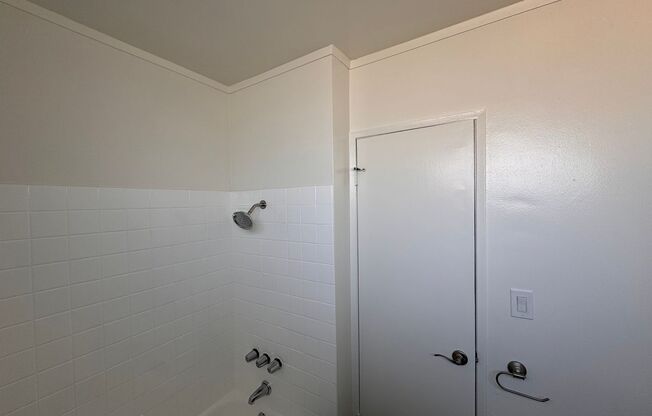 Studio, 1 bath, $1,395, Unit 8