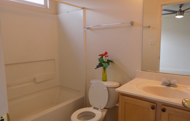 3 beds, 2 baths, $1,900