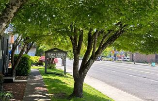 Stark Street Townhomes