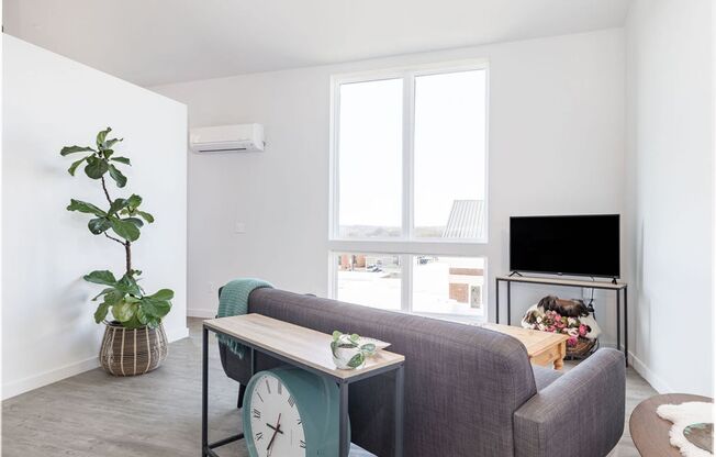 1 bed, 1 bath, 538 sqft, $1,145, Unit 411