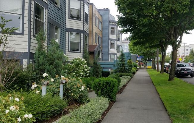1 bed, 1 bath, 719 sqft, $1,975, Unit 216