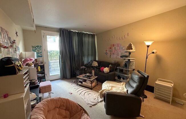 Luxury 1-Bedroom Apartment Minutes from Campus