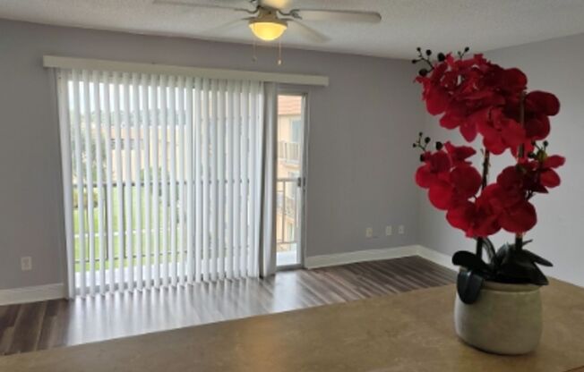 Welcome to Tampa Racquet Club – Where Comfort Meets Convenience!