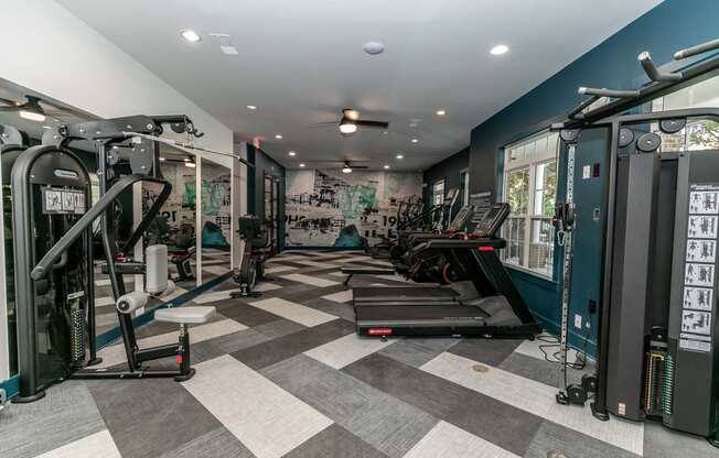 a gym with weights and cardio equipment in a home gym
