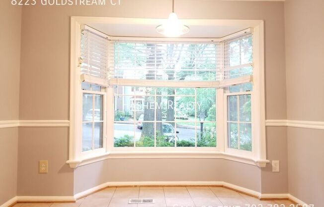 8223 GOLDSTREAM CT
