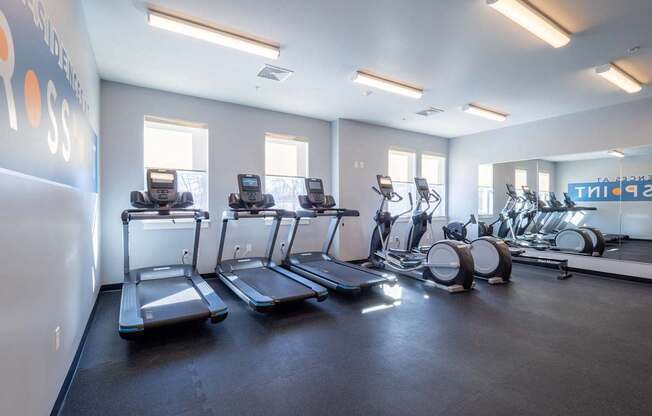 A tranquil yoga and exercise studio with natural light and fitness equipment.