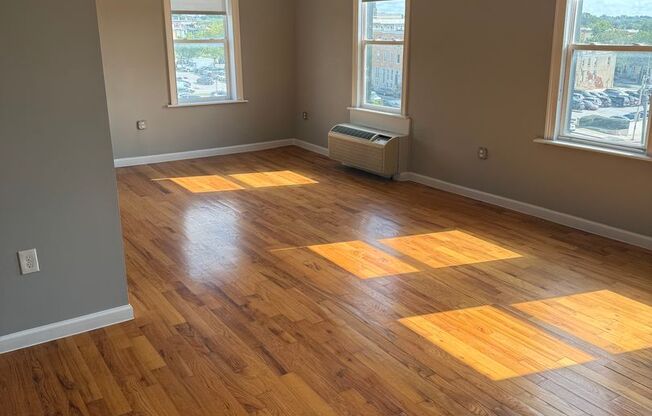 Studio, 1 bath, 480 sqft, $1,150, Unit Unit #22