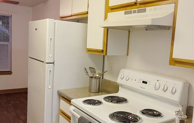 2 beds, 1 bath, $1,645