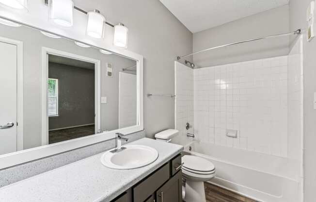 a bathroom with a mirror and a sink and a toilet
