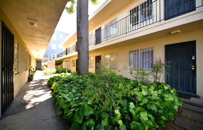 1p691 - 1896 Alcatraz Ave.