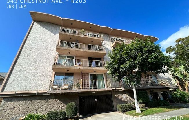 545 CHESTNUT AVE