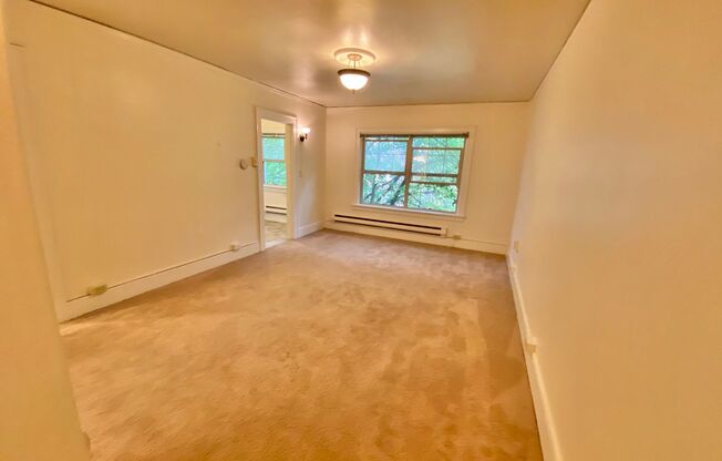 Studio, 1 bath, 437 sqft, $1,395, Unit 209