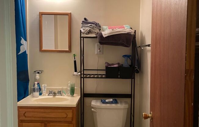 1 bed, 1 bath, 330 sqft, $1,045, Unit 305