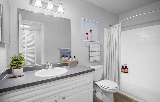 A bathroom with a white toilet, sink, and a mirror.