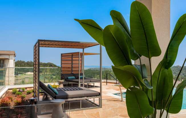 a terrace with a view of the ocean and a palm tree