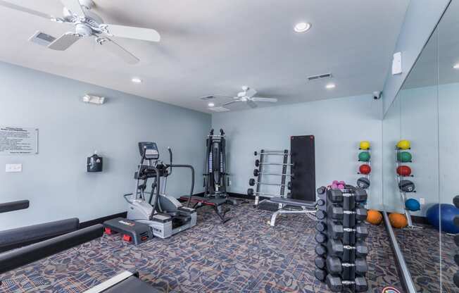 a gym with weights and cardio machines and a ceiling fan