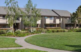 Courtyard With Green Space at Carrington Apartments, Fremont, 94538