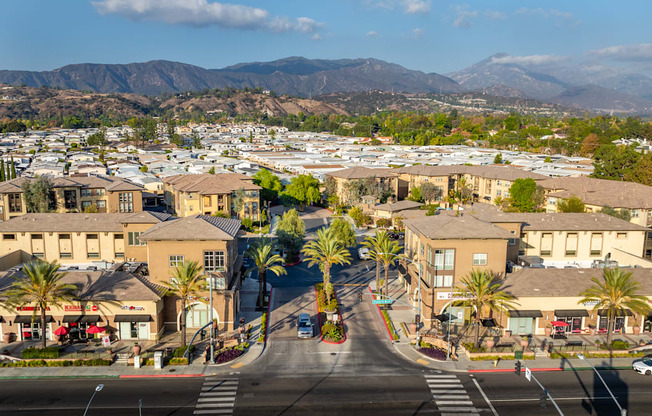 A street view of a residential area with houses and palm trees.