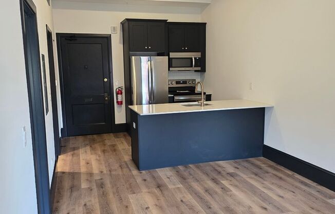 1 bed, 1 bath, 525 sqft, $1,600, Unit 206