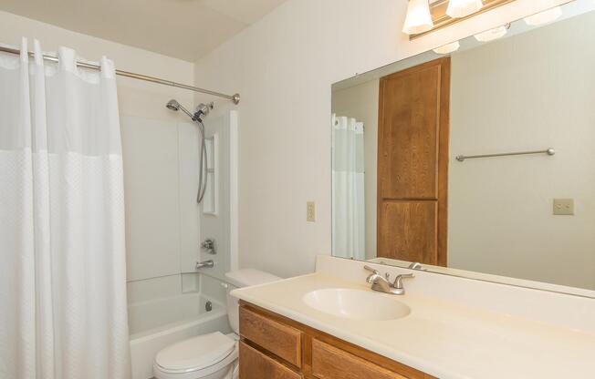 a shower that has a sink and a mirror