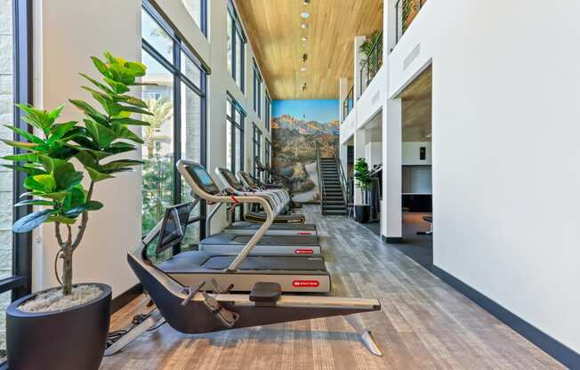 Gym with treadmills and a mural of a mountain on the wall at Array La Mesa, La Mesa, CA 91942